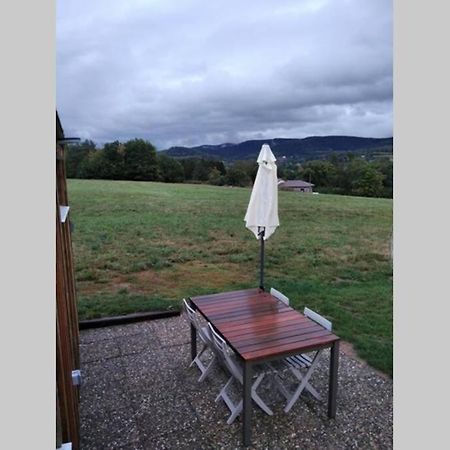 فيلا Neuvillers-sur-Faveفي Studio De Jardin Cosy Avec Vue Panoramique المظهر الخارجي الصورة